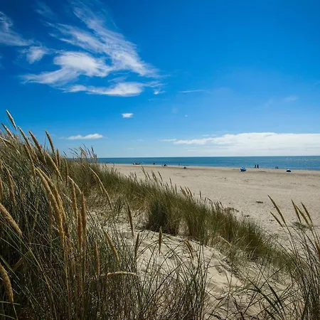 10 Person In 別荘 ブラーバンド